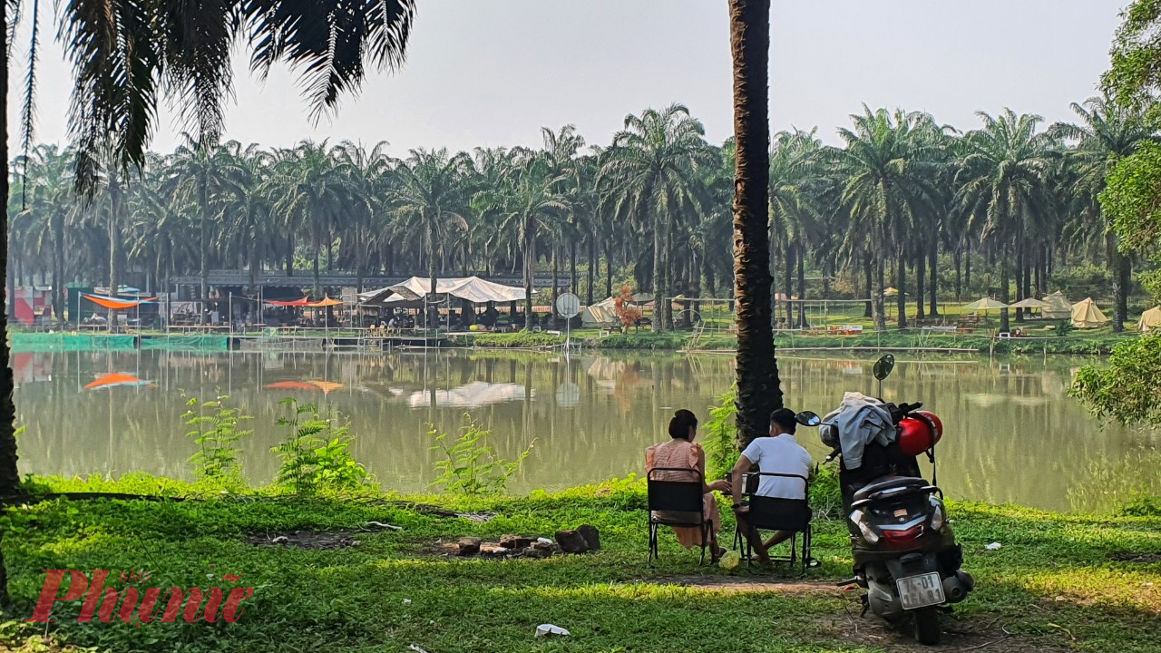 Đô thị ngày càng chật hẹp, khí hậu ngày càng khắc nghiệt, rừng cọ dầu đóng vai trò như lá phổi xanh của thành phố.